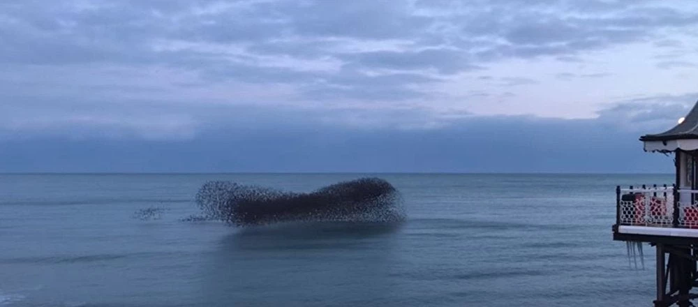 Βίντεο που καθηλώνει: Σαν να χορεύουν πάνω στη θάλασσα